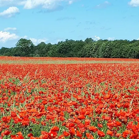 Gaestehaus Zur Seemoewe, 1 